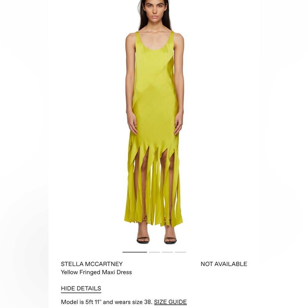 Stella McCartney Fringed Maxi Dress
